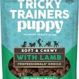 Tricky Trainers Puppy