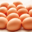 Brown Eggs