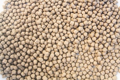Fish Feed Pellet Fishmeal