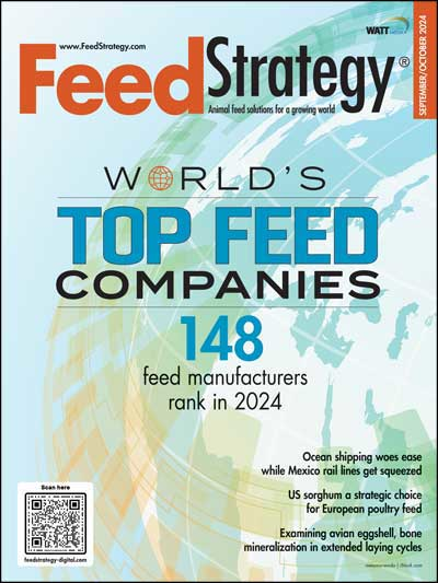 Feed Strategy September/October 2024