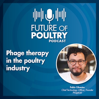 Episode 5 Phage Lab