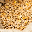 Bigstock Compound Feed In Sacks Fodder 37853893