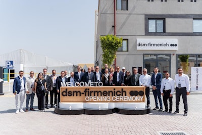 Dsm Firmenich Egypt