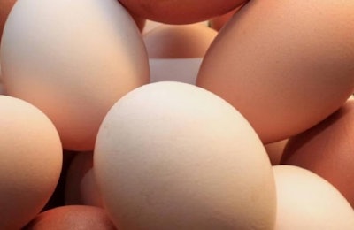 Eggs Andrea