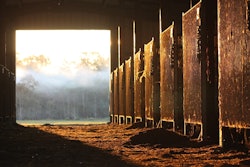 Horse Stable At Sunrise