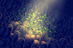 Intestinal Bacteria Gut Flora Health