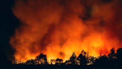 Wildfire