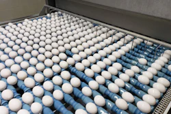 Eggs Birko