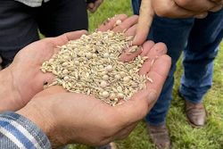 Mars will work with agribusiness companies and solutions providers, including ADM, The Andersons, Inc., Riceland Foods, and Soil and Water Outcomes Fund.