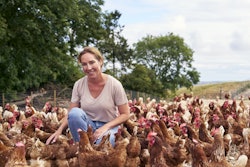 Lidl has announced, amongst other measures, long-term cost of production contracts and help in securing finance to ensure the viability of its free-range egg suppliers.
