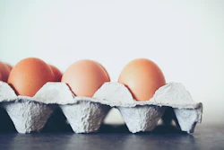 Brown Eggs In Carton Profile