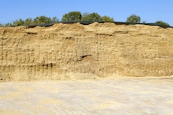 Corn Silage
