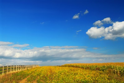Corn Soybean Fields