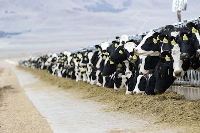 Cows 3576078 1280
