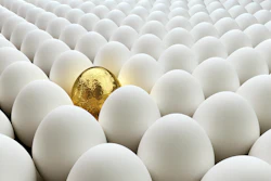 Gold Egg With White Eggs