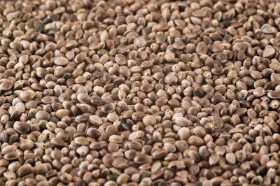Hemp Seeds