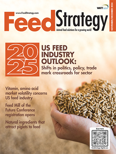 Feed Strategy November/December 2024