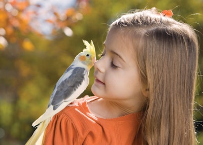 Small pet trends are, unsurprisingly, evolving right alongside dog and cat trends as pet owners of all kinds focus on keeping their animals happy and healthy.