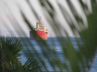 Big Cargo Ship With A Palm Leaf On The Foreground 1448161