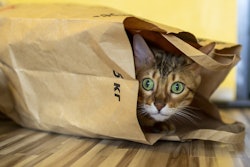 The pet food industry continues to focus on developing eco-friendly packaging options to minimize environmental impact and meet consumer demands for recyclable materials.