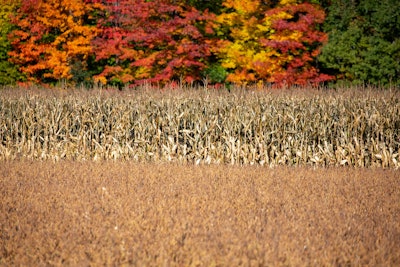 Corn Soybeans Harvest