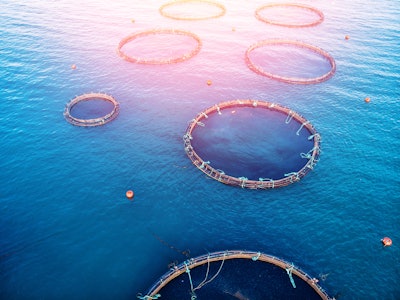 Fish Farm
