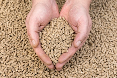 Hands Holding Feed