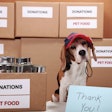 Pet Food Industry Gives Back