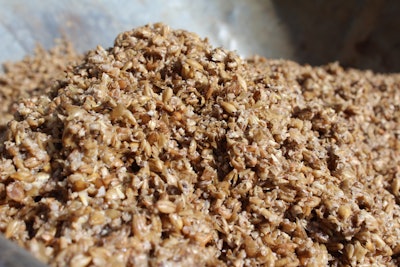 Spent Brewers Grain