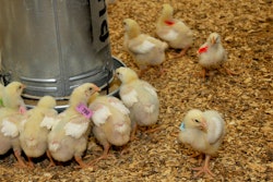 45568080624 122b820634 K