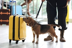 Beagle Airport