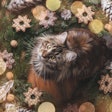 Common holiday plants such as poinsettias, mistletoe and lilies are toxic to cats and dogs, potentially causing anything from mild stomach upset to severe kidney damage.