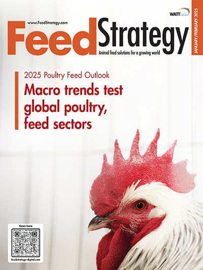 Feed Strategy Feed Strategy January/February 2025