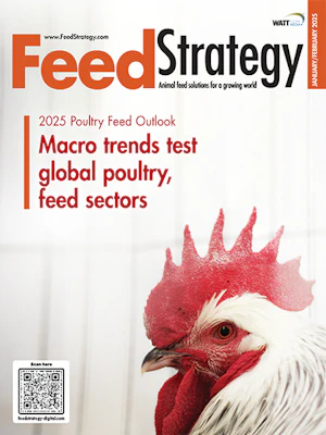 Strategy Feed Feed Strategy January/February 2025 | Feed Strategy