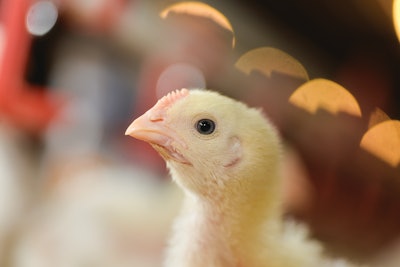 Several sensors are available to collect relevant bird or air quality data.