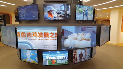 Interactive display at the World Egg Museum helping to educate young and old on the benefits of eggs.