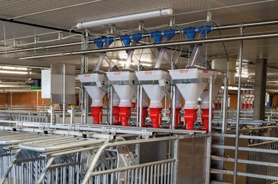 Weda Dammann & Westerkamp Opti fill