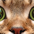 Pet owners are demanding more and more of pet food, making it essential for the pet industry to understand what makes consumers want to spend their hard-earned money.