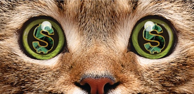 Pet owners are demanding more and more of pet food, making it essential for the pet industry to understand what makes consumers want to spend their hard-earned money.