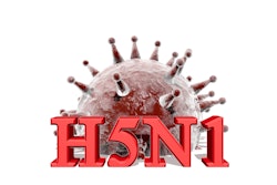 H5 N1