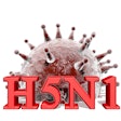 H5 N1