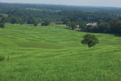 Both the facility and its wastewater treatment processes easily blend into backdrop of the surrounding area natural beauty.