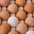 Brown Eggs In Carton1