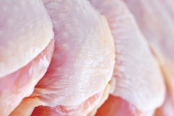 Raw Chicken Drumsticks 2