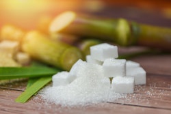 Sugar Cane