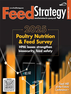 Strategy Feed Feed Strategy March/April 2025 | Feed Strategy