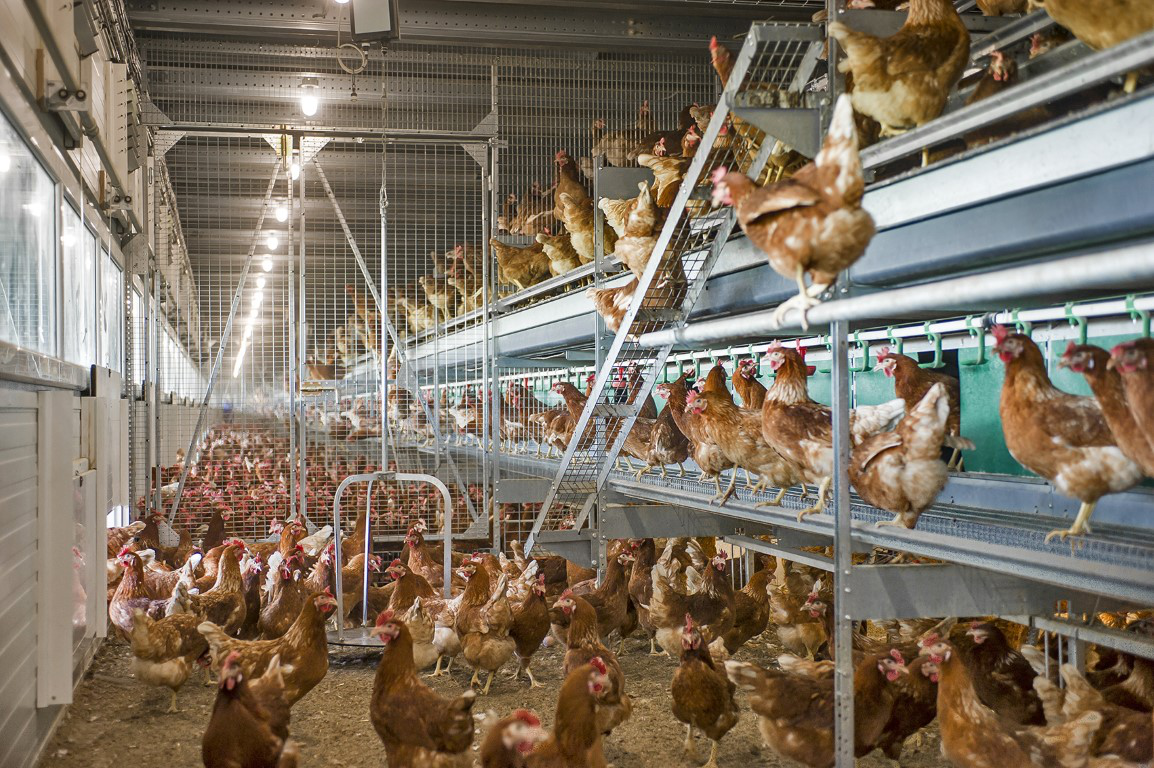 Bolegg20 Terrace202820292028 Gemiddeld29 62fa428e0743d0