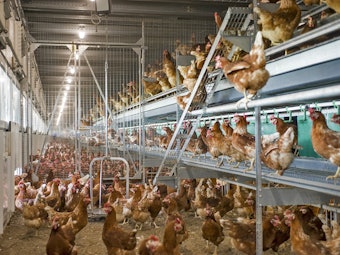 Bolegg20 Terrace202820292028 Gemiddeld29 62fa428e0743d0