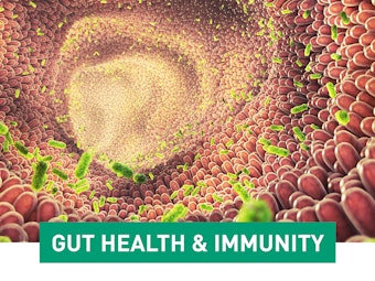Fsa Gut Health And Immunity 62f78e935259dc