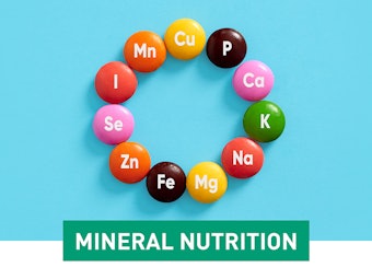 Fsa Mineral Nutrition 62f78e92317b14